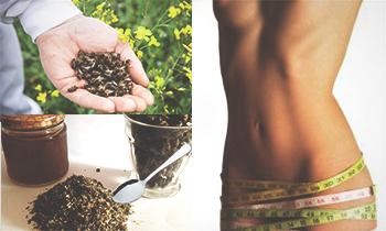 пчелиный подмор при ожирении